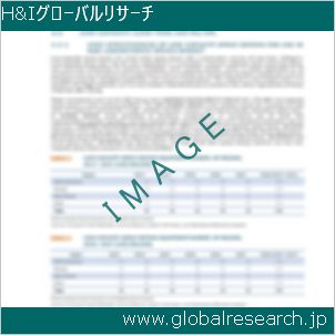 グローバルリサーチ調査レポートのイメージ
